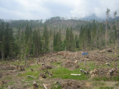In High Tatras after the violent storm