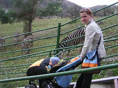 Mamka s Riškom pri zebrách